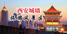 啊啊啊操我骚逼小视频中国陕西-西安城墙旅游风景区